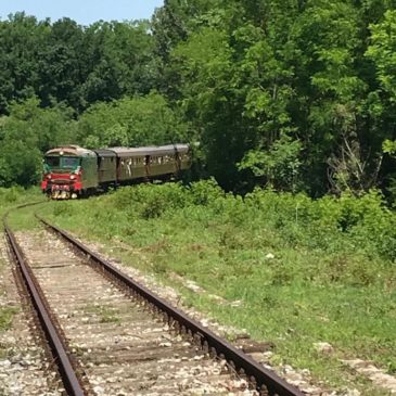 Irpinia Express: “Il Treno dell’arte Avellino-Lapio”