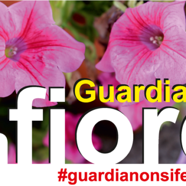 Guardia Sanframondi: Guardia in fiore! riempiamo di primavera la nostra città