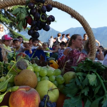 Vinalia: tante conferme e approvazioni per la nuova formula