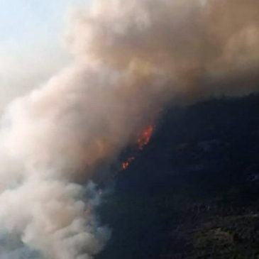 Diocesi di Cerreto sull’incendio a Monte Cigno: “Non giriamoci dall’altra parte”