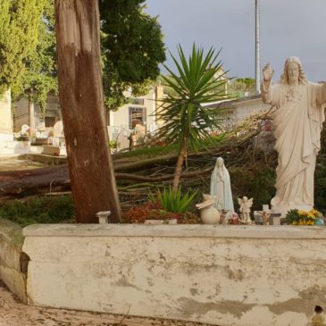 Guardia S., l’opposizione: “Una corretta manutenzione avrebbe evitato questo scempio al cimitero”