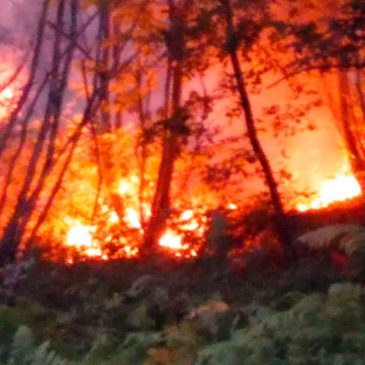 Ferragosto di fuoco nei boschi e nelle aree coltivate del Sannio. Le foto