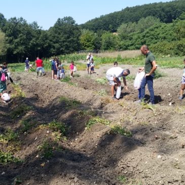 AgriFestival: arte, natura e cibo contadino in cinque tappe