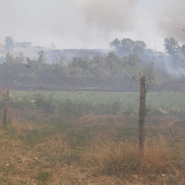 Incendi nel Sannio: il fuoco ha divorato oltre 138 ettari