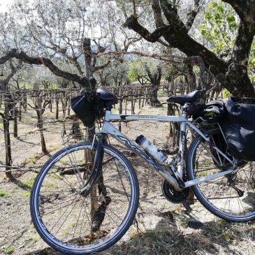 Immagini dal Sannio: cicloturismo e ciclovie della Falanghina e della Camaiola