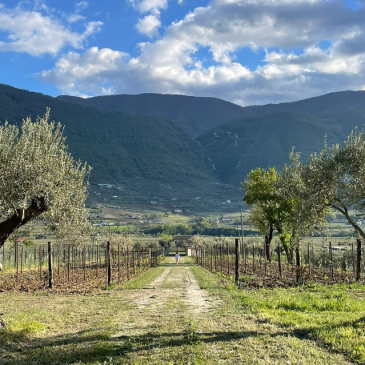 San Lorenzo Maggiore: da “33 Filari” musica, sapori e solidarietà