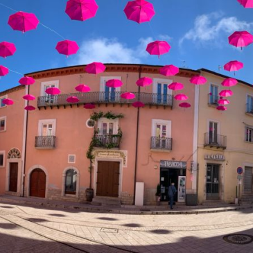 Fiorenza Ceniccola: “Realizziamo un hub per il vino nella capitale del vino della Regione Campania”