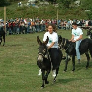 Immagini dal Sannio: l’esilarante corsa degli asini di Frosolone