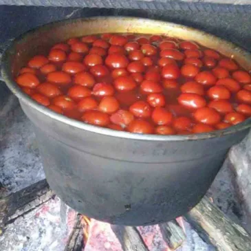 Benvenuti nel Sannio: la passata di pomodori fatta in casa (FOTO)