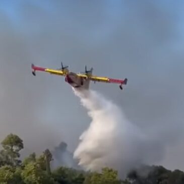 Incendi Telese, diversi gli interventi dei Vigili del Fuoco