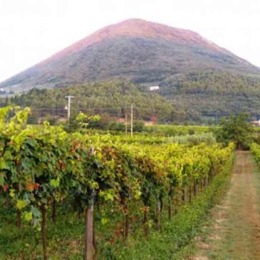 Immagini dal Sannio: monte Acero, con le mura megalitiche e la statua del Redentore