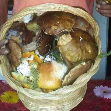 Benvenuti nel Sannio: la Sagra dei Funghi di Cusano Mutri (FOTO)