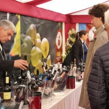 Sannio Consorzio Tutela Vini protagonista al Merano Wine Festival