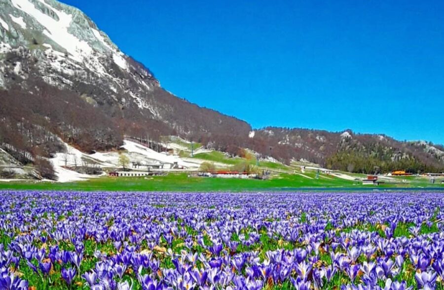 Immagini dal Sannio: natura e biodiversità nel Parco Regionale del Matese