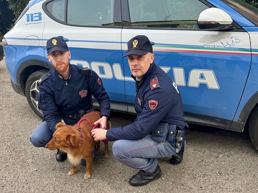 Benevento, la Polizia salva un cane smarrito in una galleria trafficata